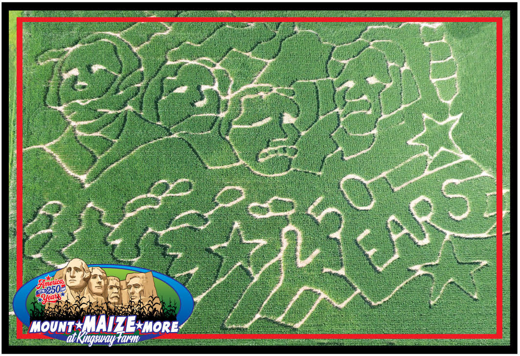 Aerial view of the 2026 Kingsway corn maze: Mount Rushmore and the words 250 Years cut into the corn